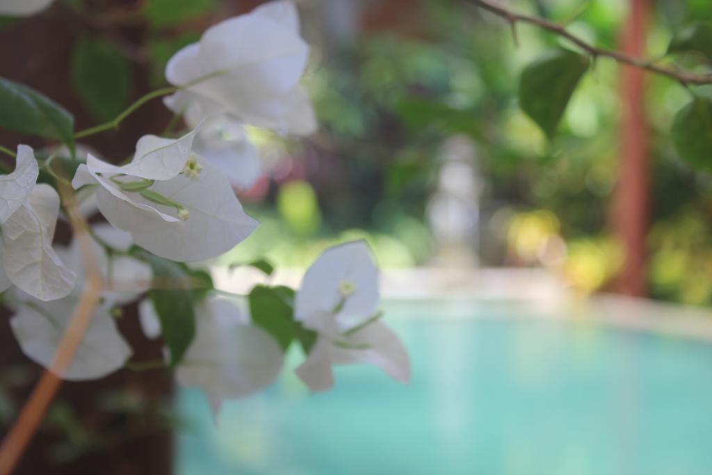 Ubud Hotel And Villas มะลัง ภายนอก รูปภาพ